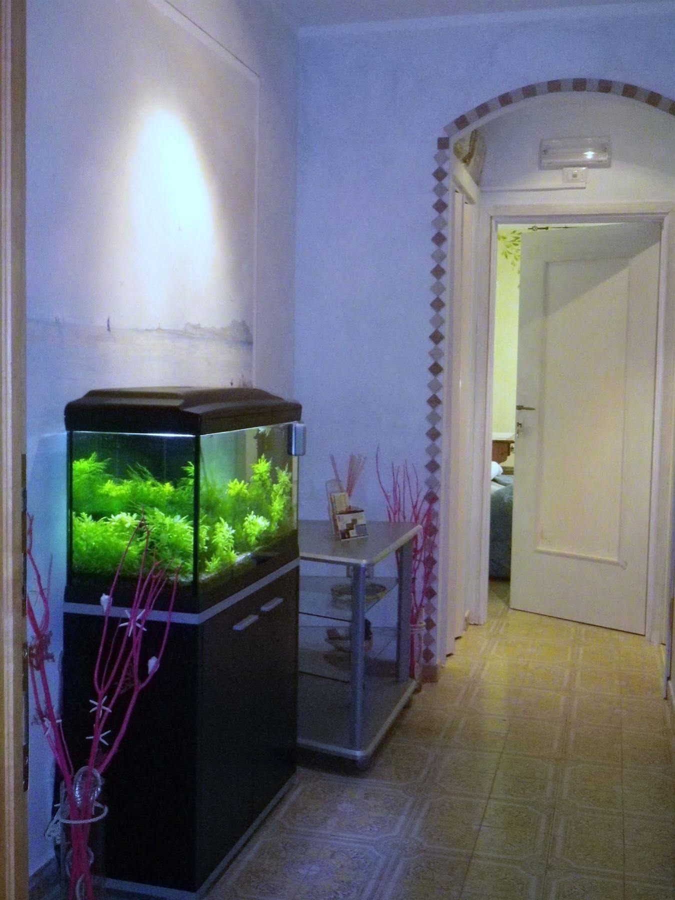 Elisart Guest House Alghero Kültér fotó